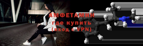 гидра Горняк