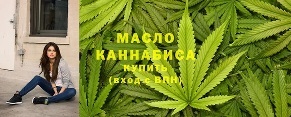 гидра Горняк