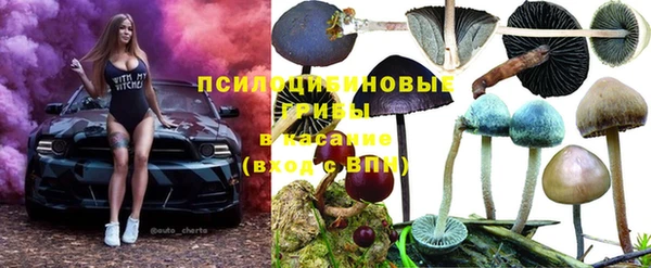 экстази Вяземский