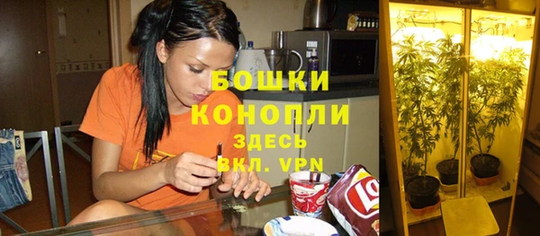 ешки Володарск
