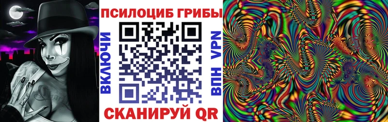 Галлюциногенные грибы MAGIC MUSHROOMS  где можно купить   Дубовка 